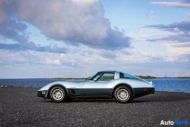 Sininen Chevrolet Corvette 1982, takaviisto, kuva 6