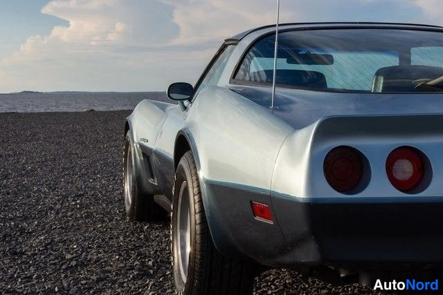 Sininen Chevrolet Corvette 1982, takaviisto, kuva 10