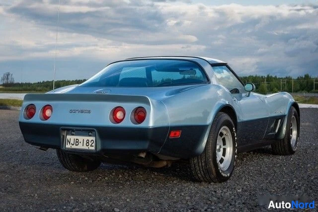 Sininen Chevrolet Corvette 1982, takaviisto, kuva 12