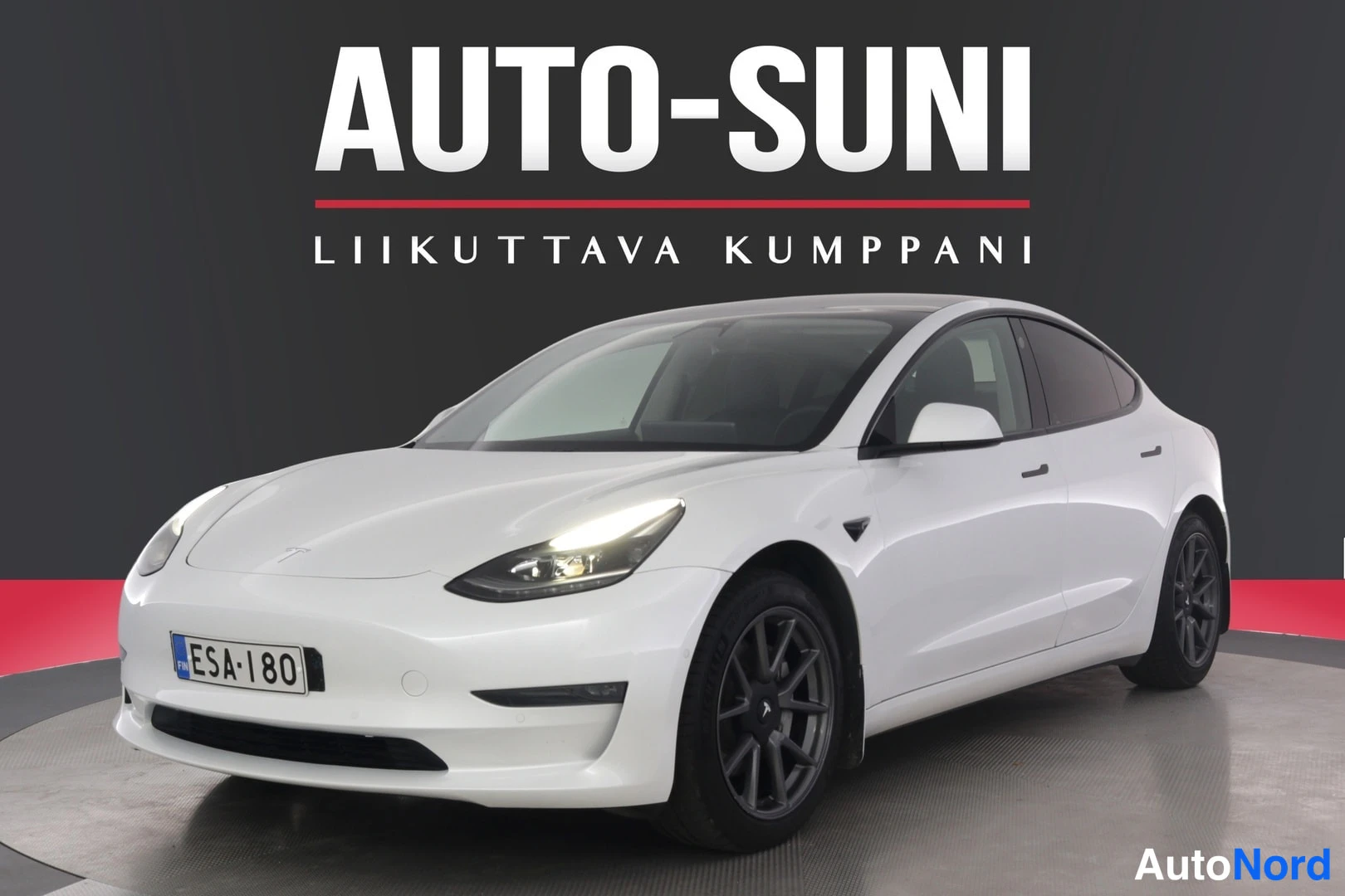 Tesla Model 3 Long Range AWD 2021