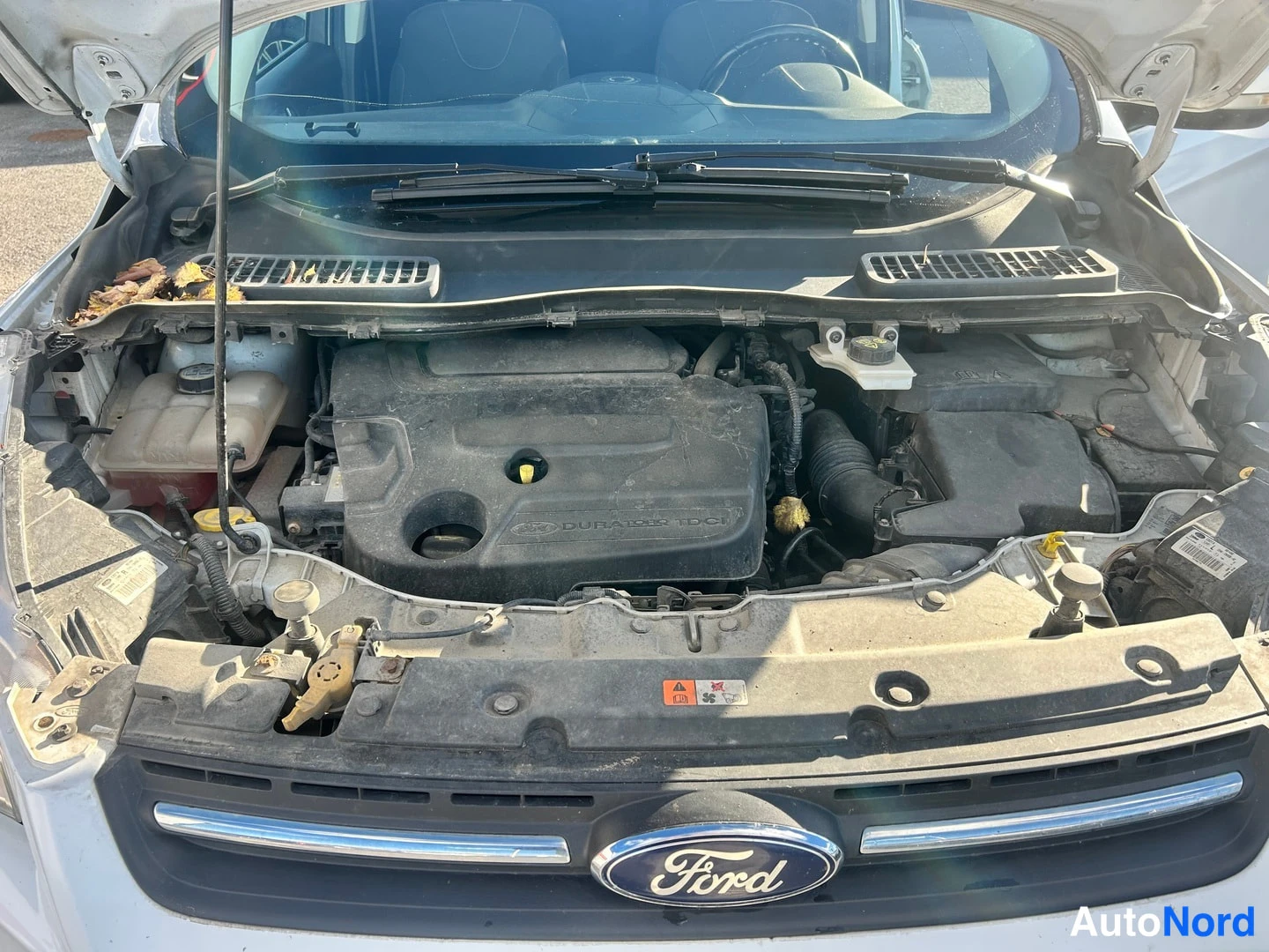 Valkoinen Ford Kuga 2014, moottoritila, kuva 12