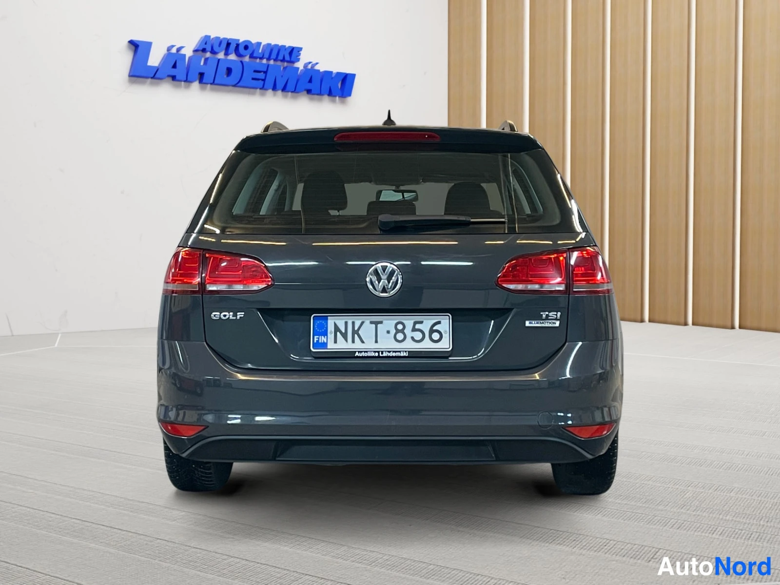 Grey Volkswagen Golf 2017, rear, photo 9