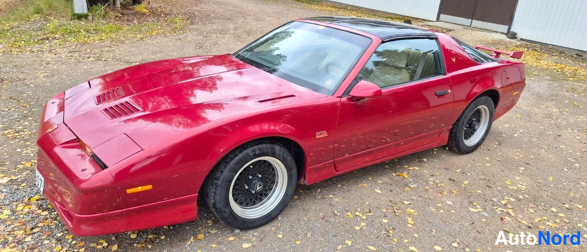 Pontiac Trans Sport 1988