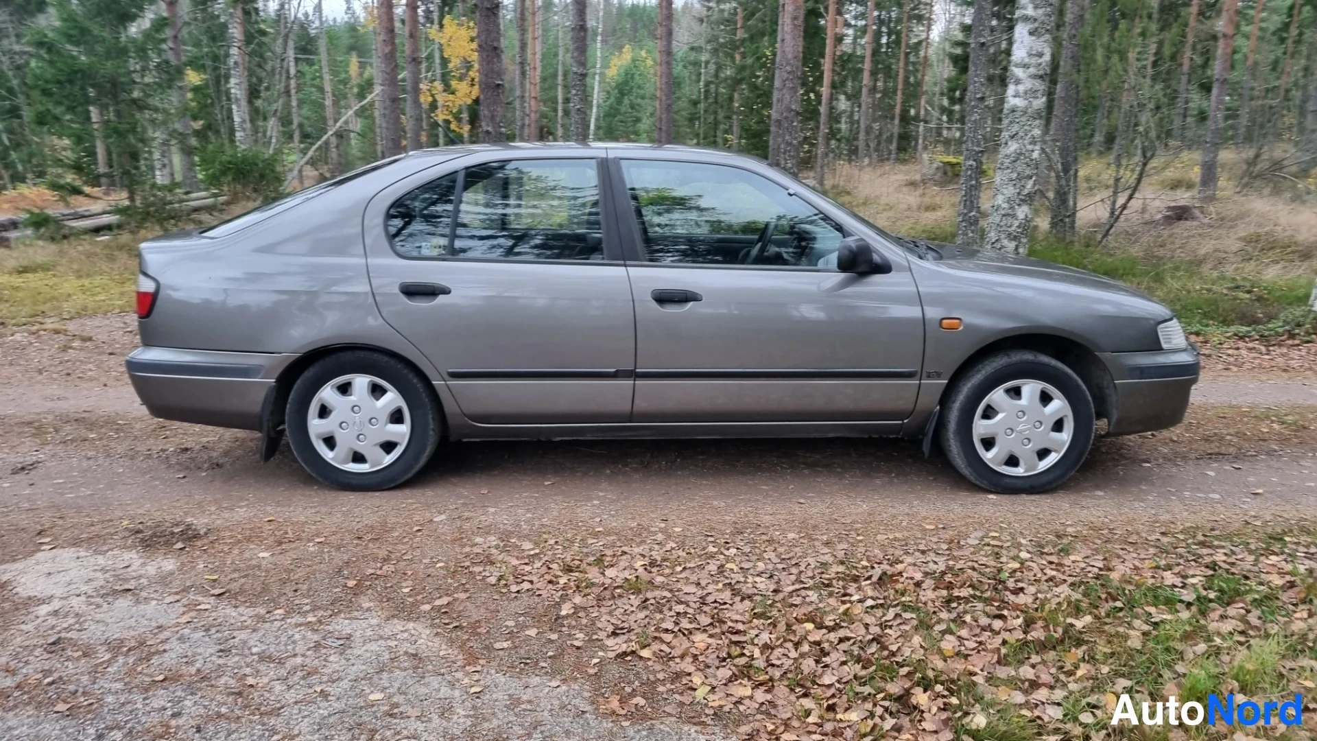 Grey Nissan Primera 1997, side, photo 4