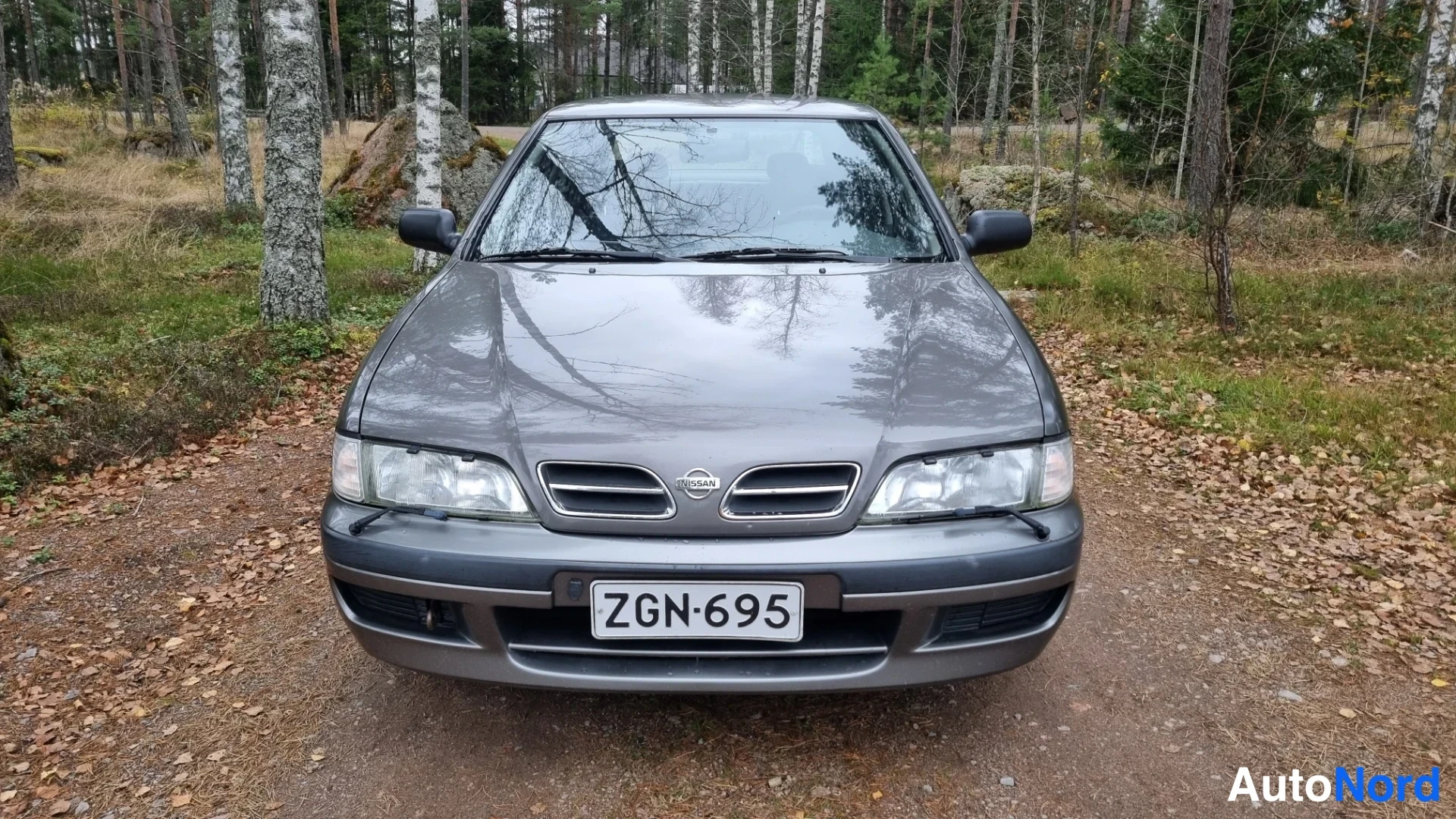 Grey Nissan Primera 1997, front, photo 3