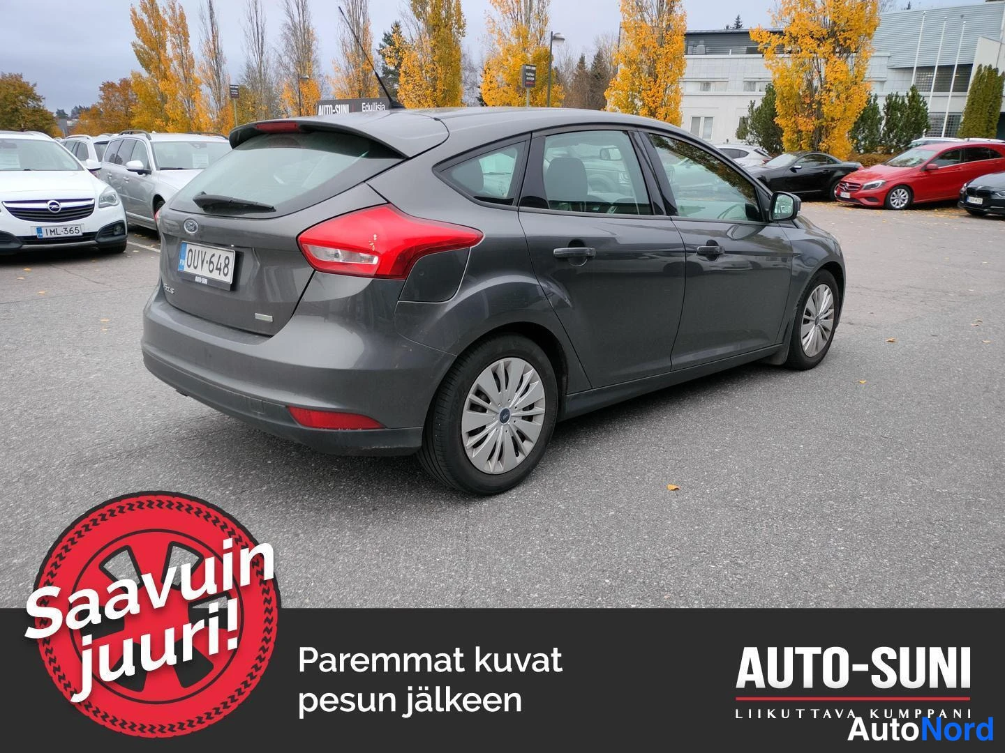 Harmaa Ford Focus 2015, takaviisto, kuva 3