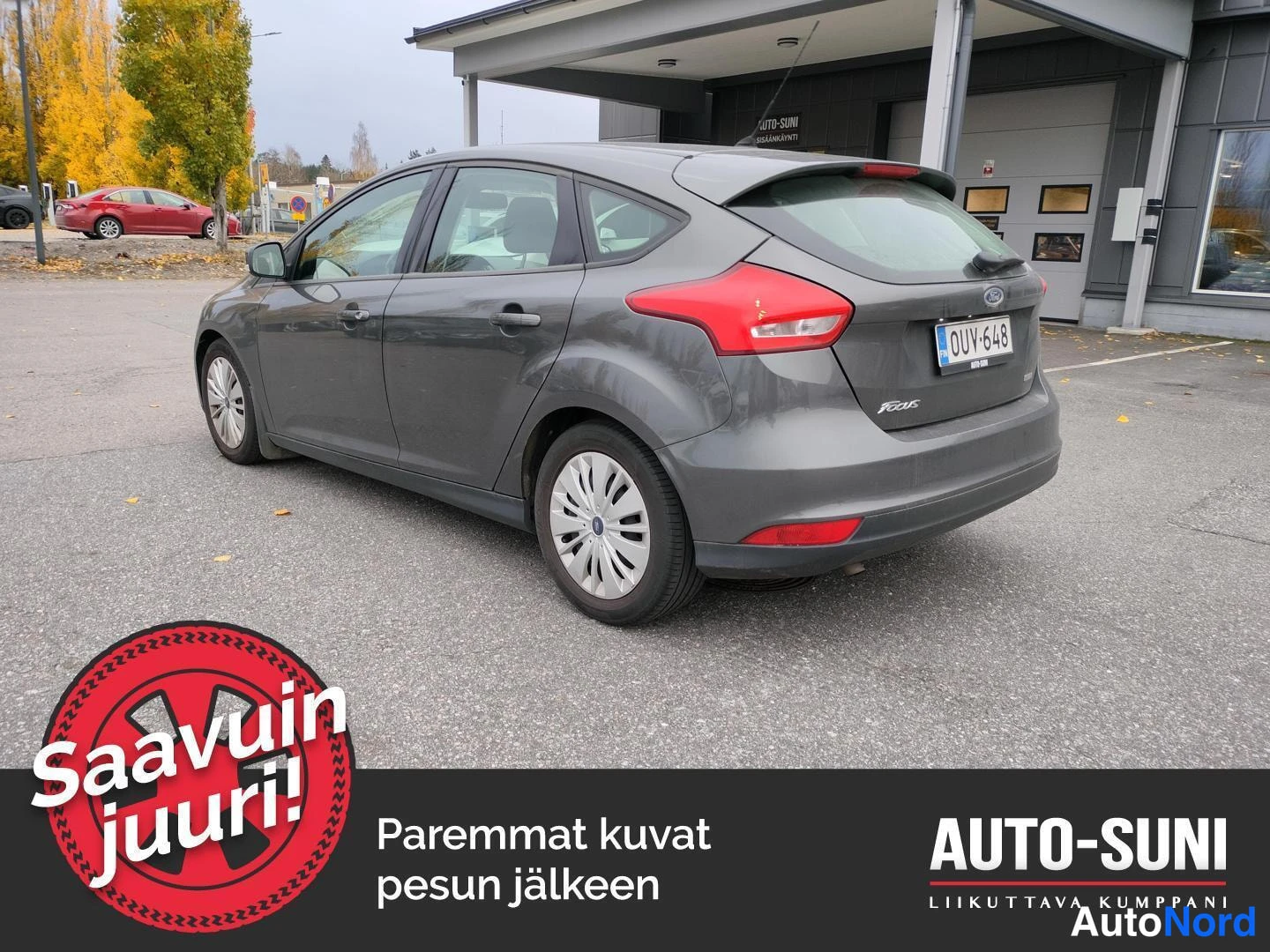 Harmaa Ford Focus 2015, takaviisto, kuva 4