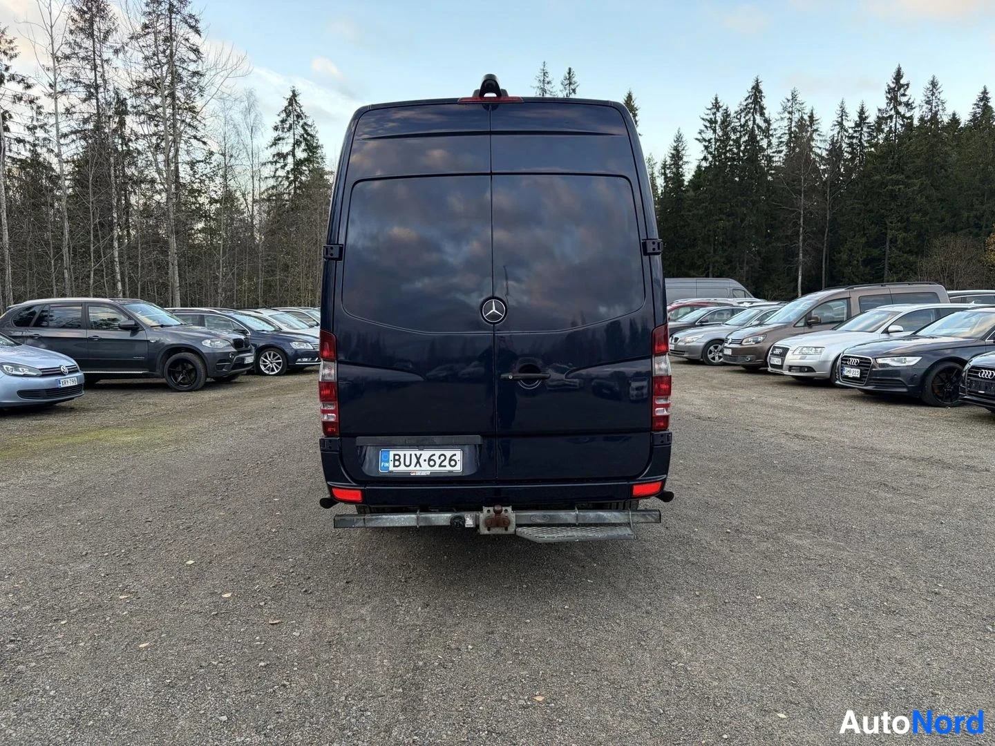 Blue Mercedes-Benz Sprinter 319 CDI 2017, rear, photo 10
