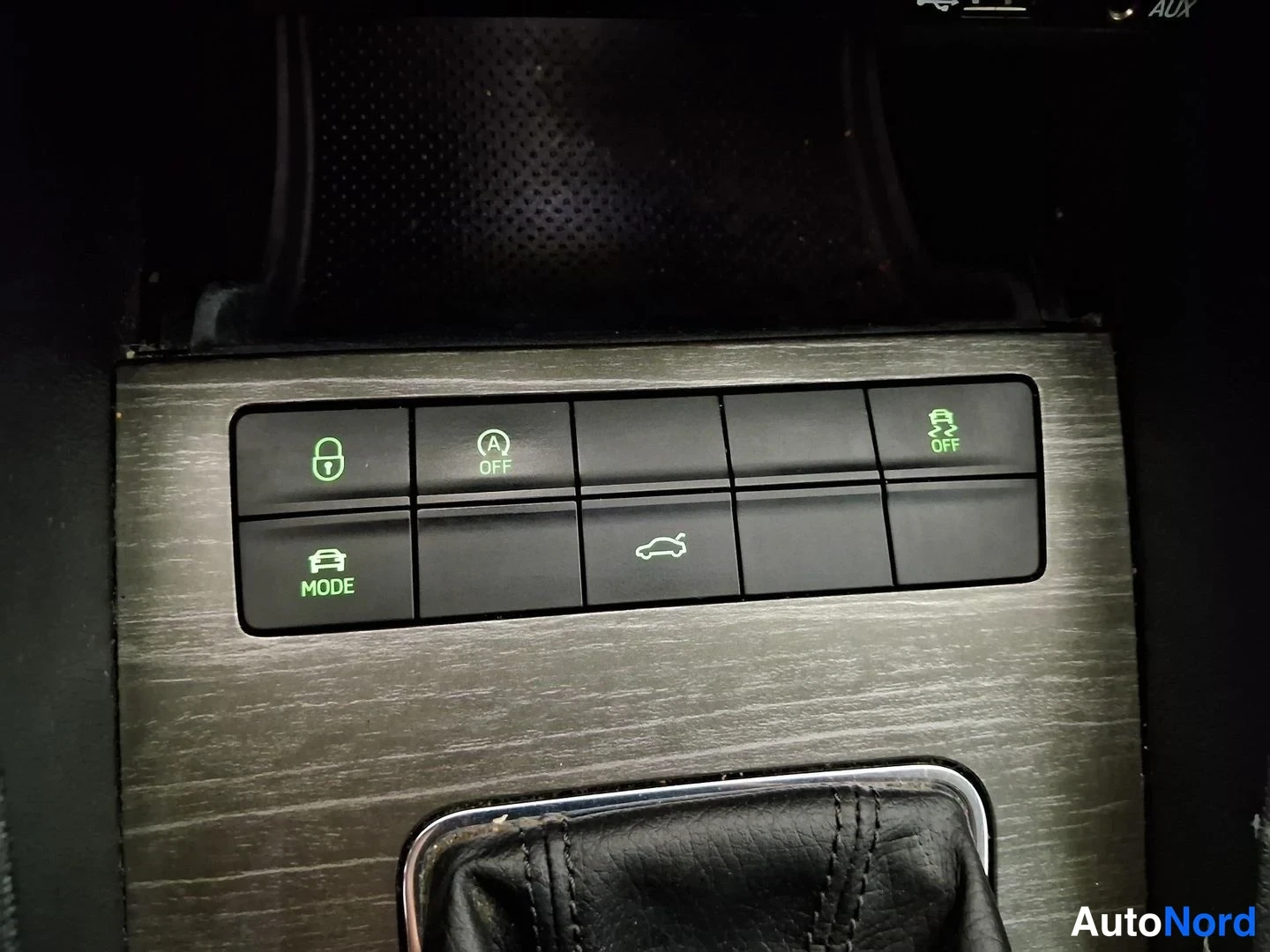Beige Skoda Octavia Scout 2015, yksityiskohta, kuva 17