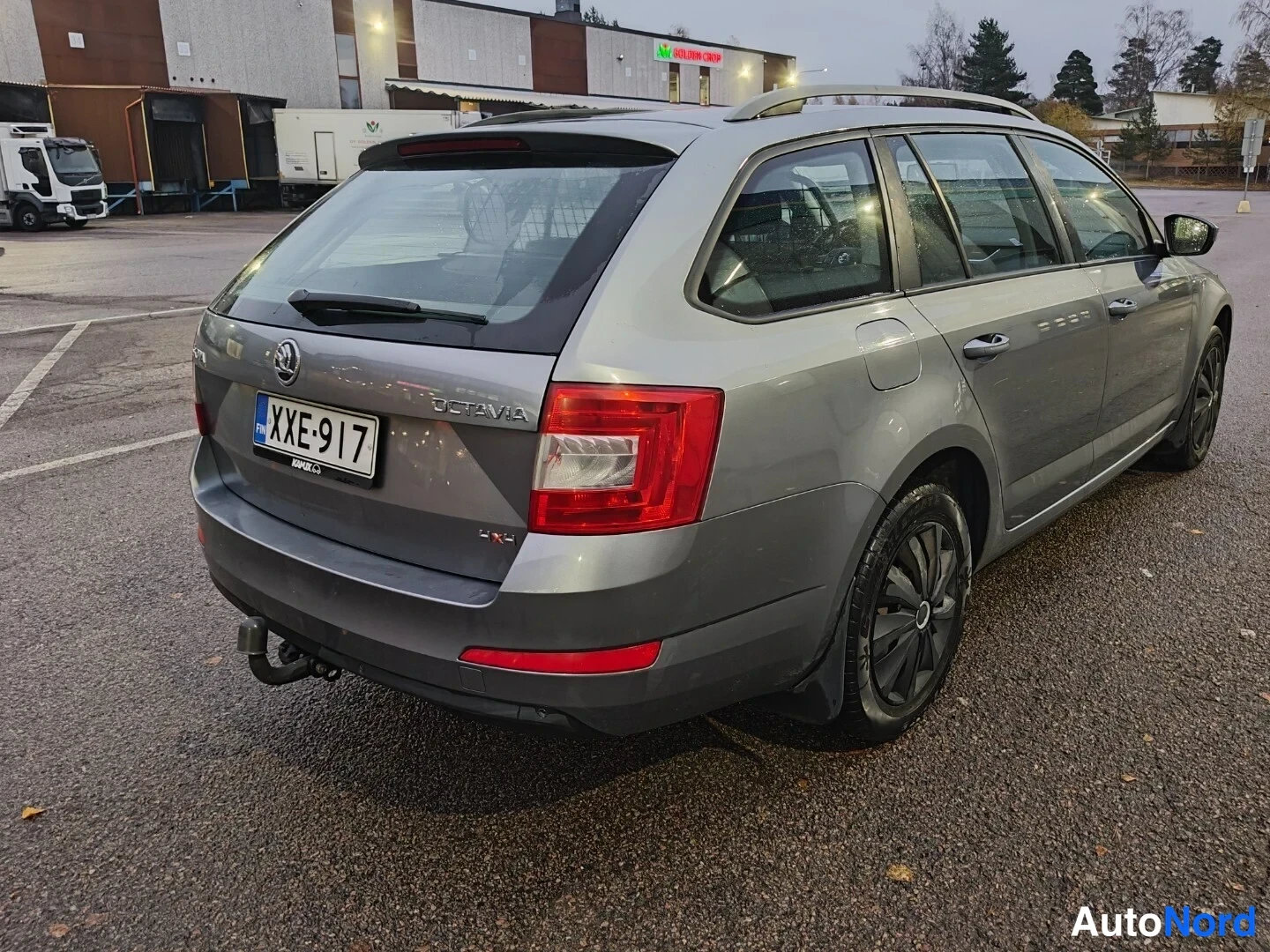 Harmaa Skoda Octavia 2014, takaviisto, kuva 7