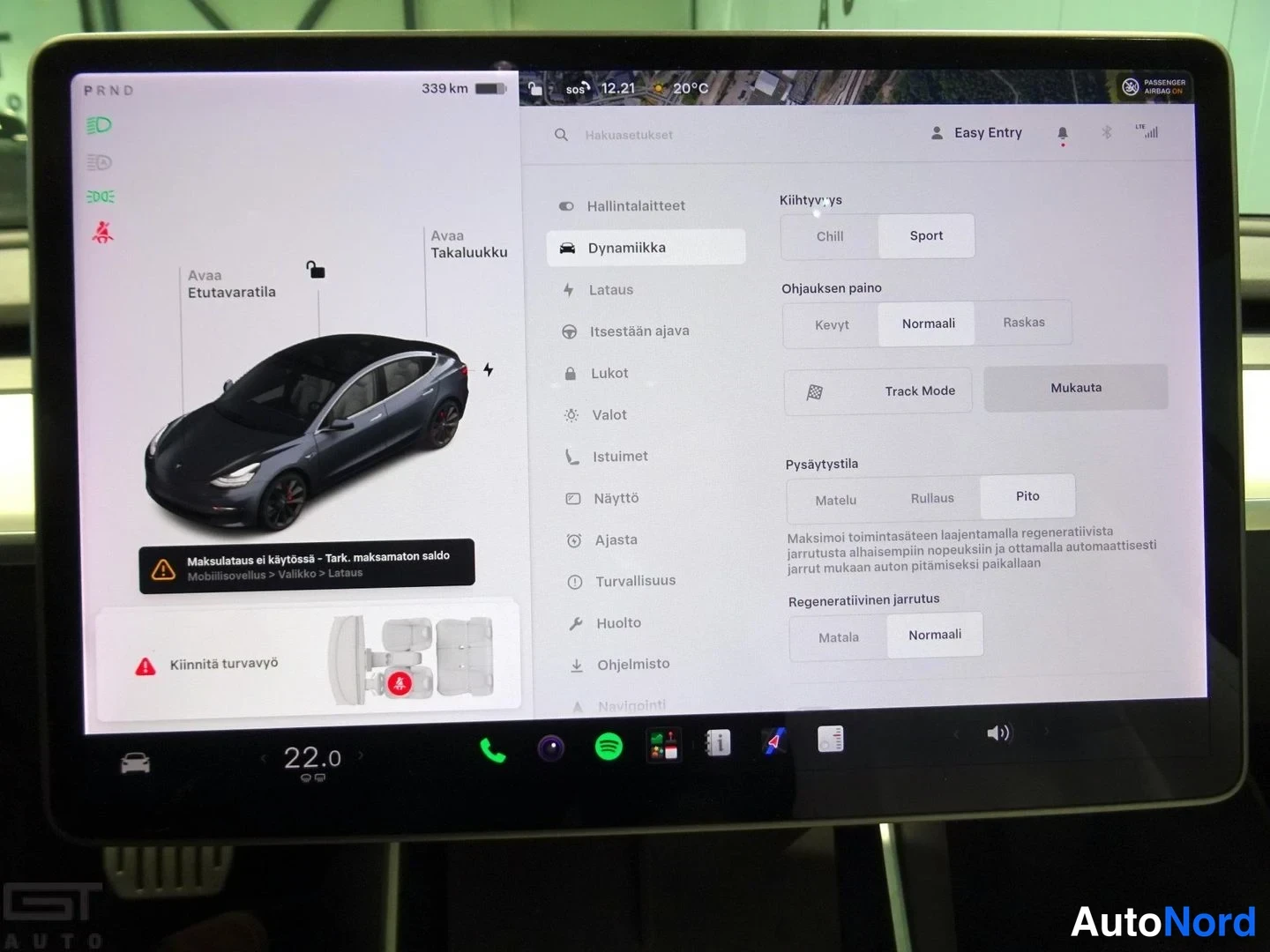 Harmaa Tesla Model 3 Performance 2020, yksityiskohta, kuva 21