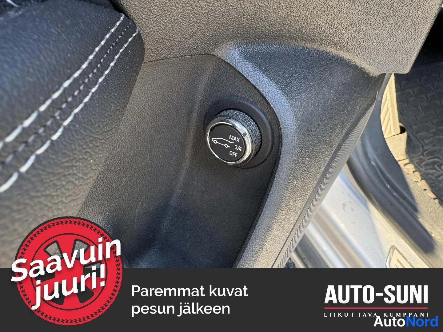 Hopea Opel Insignia 2019, yksityiskohta, kuva 11