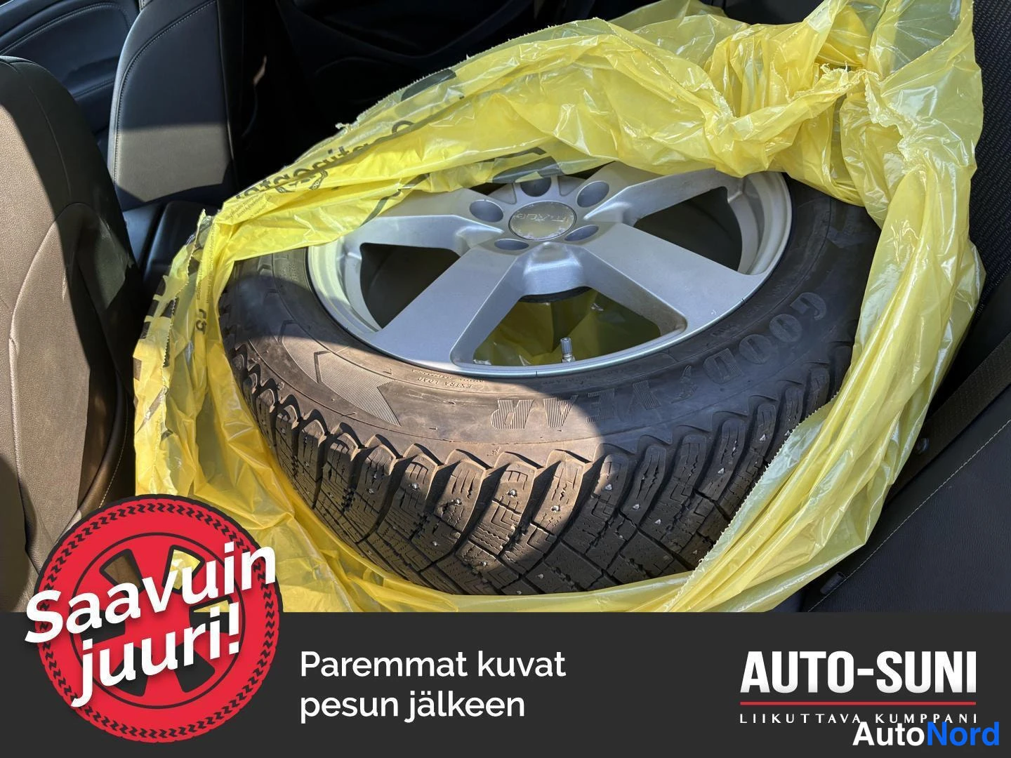 Hopea Opel Insignia 2019, yksityiskohta, kuva 12