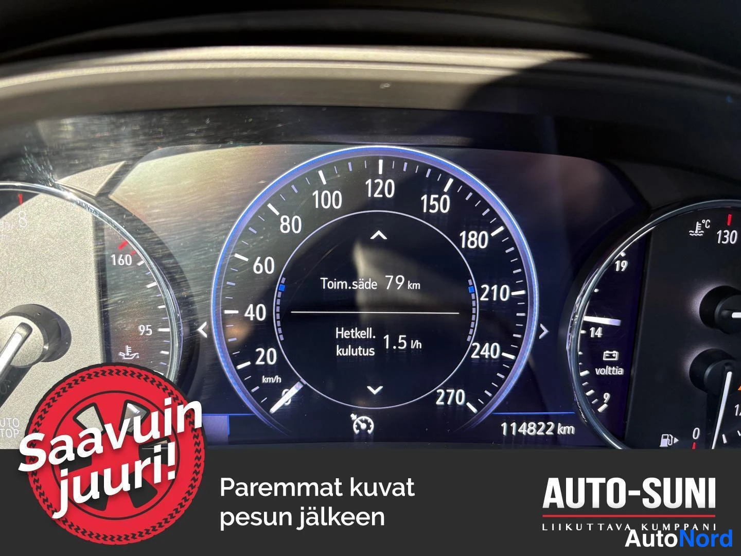 Hopea Opel Insignia 2019, yksityiskohta, kuva 7