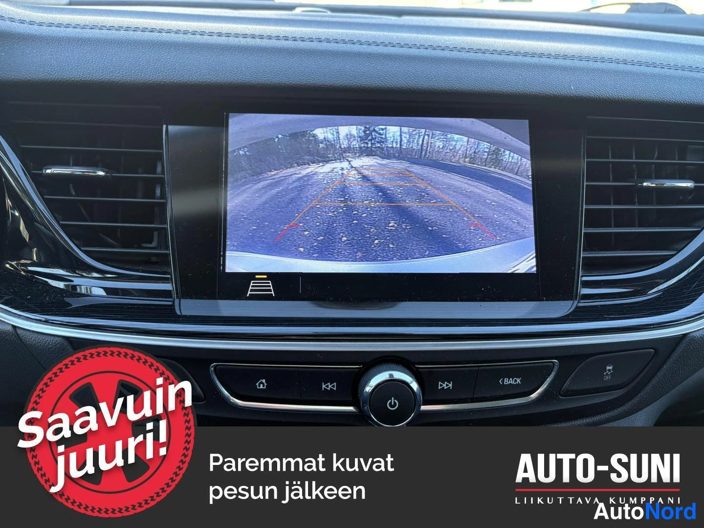 Hopea Opel Insignia 2019, yksityiskohta, kuva 8