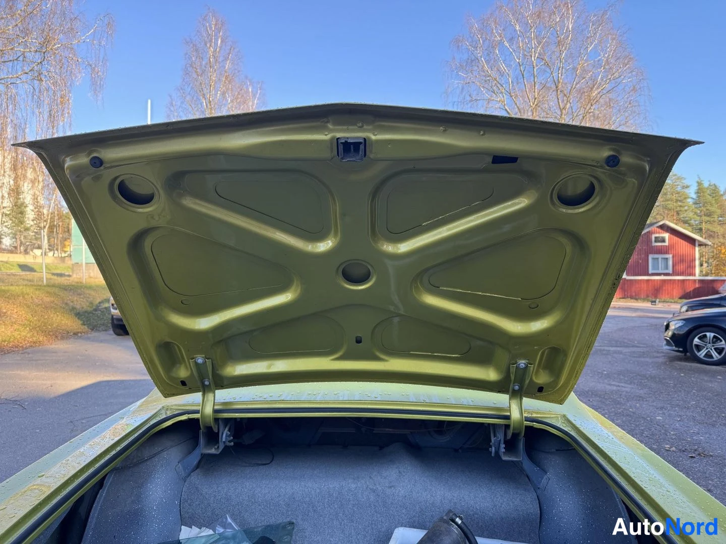 Vihreä Buick Riviera 1965, tavaratila, kuva 16