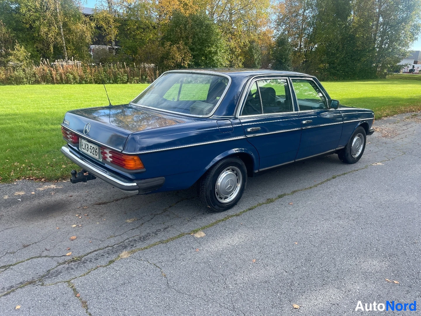Sininen Mercedes-Benz 200 1984, takaviisto, kuva 5