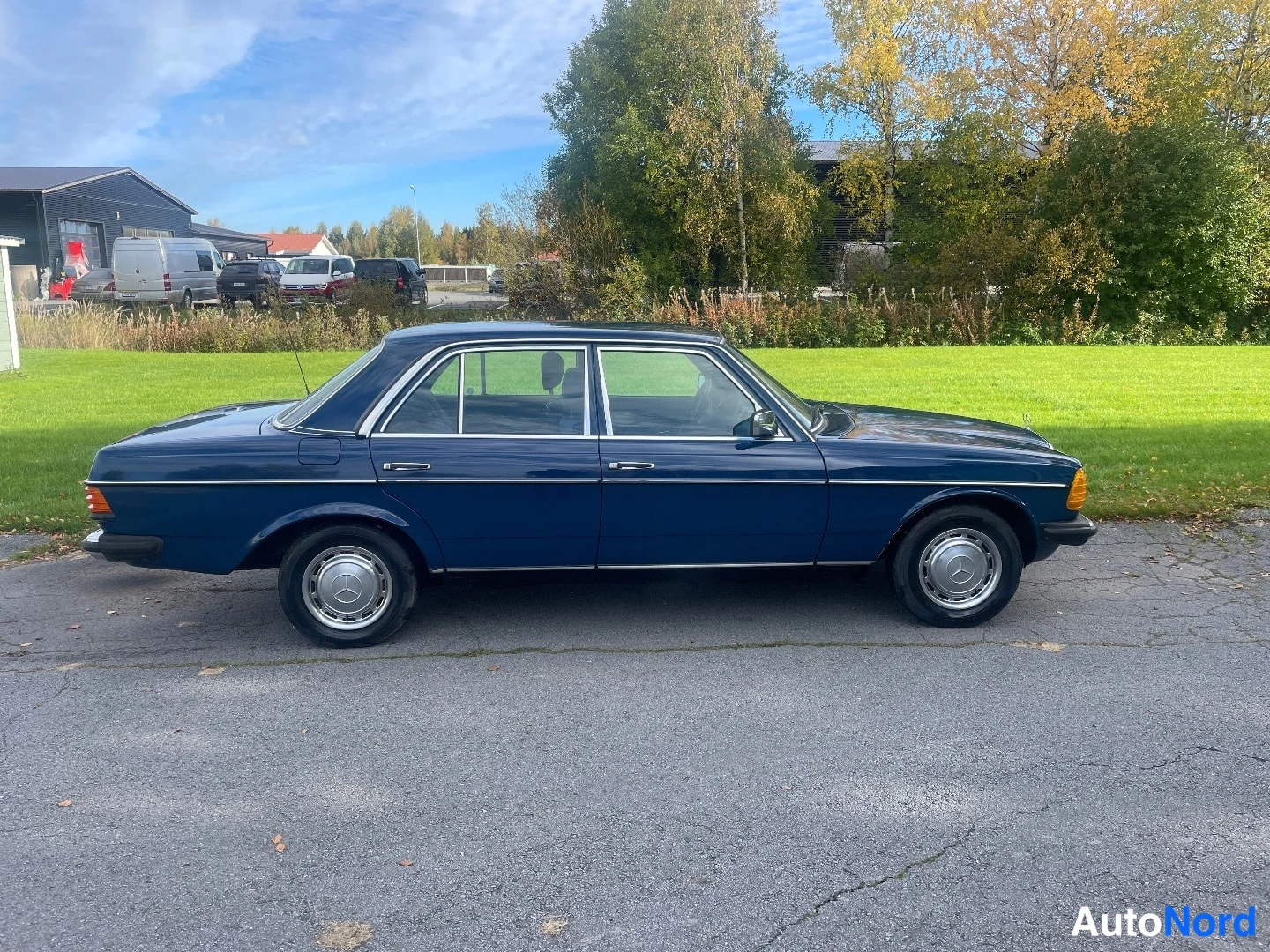 Sininen Mercedes-Benz 200 1984, sivulta, kuva 4