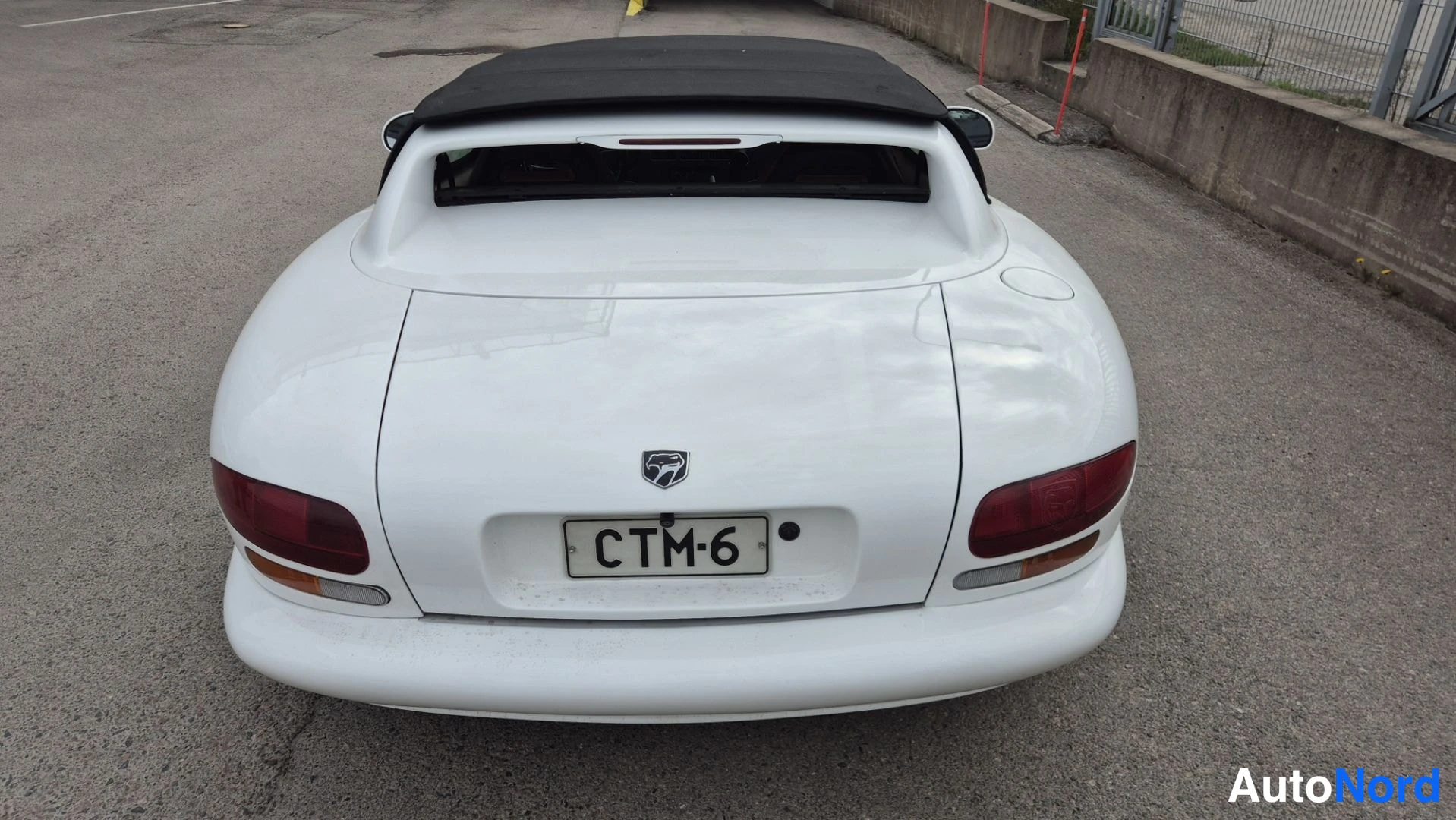 Valkoinen Dodge Viper 1995, takaa, kuva 7